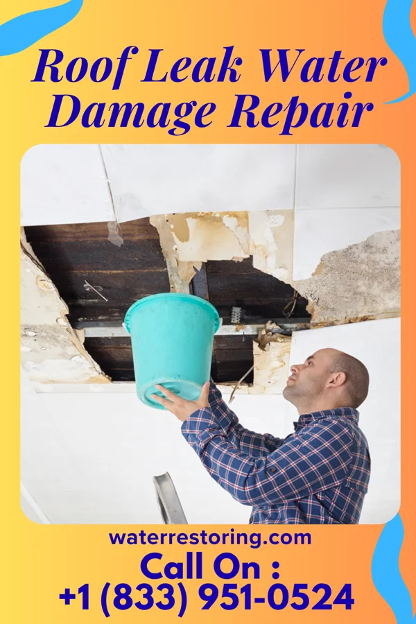 Roof Leak Water Damage Repair in Elwood, KS