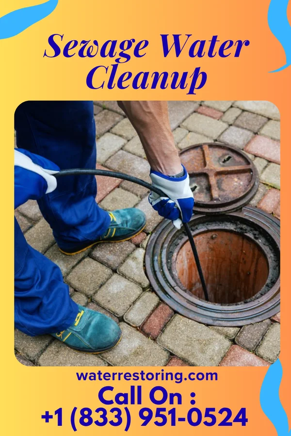 Sewage Water Cleanup in Elwood, KS